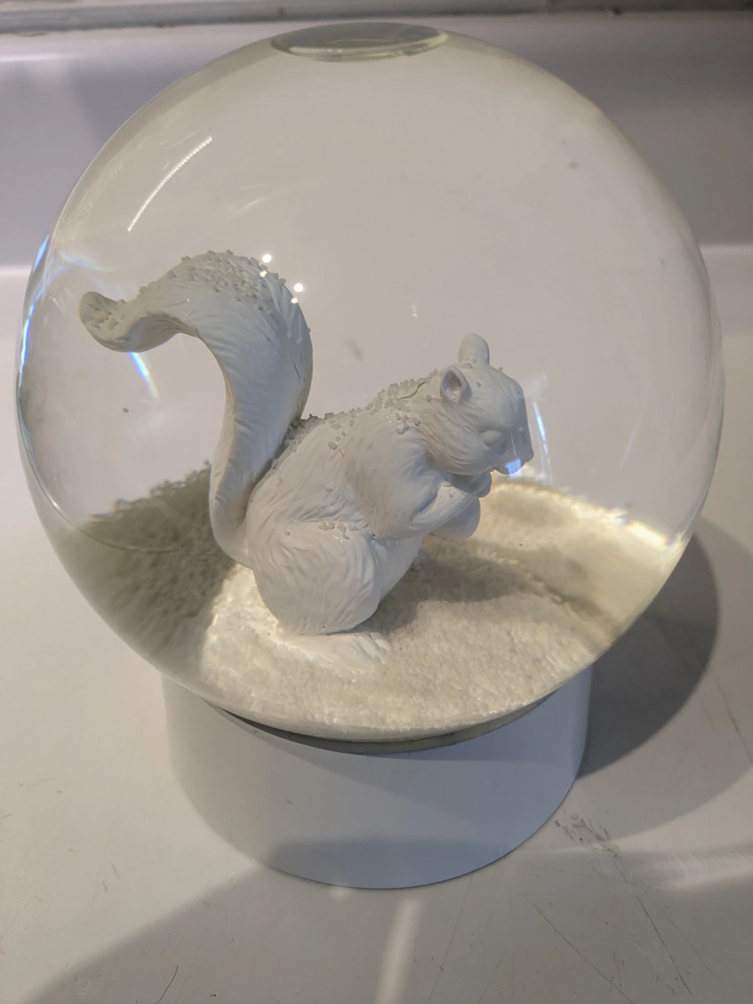 Squirrel Snowglobe