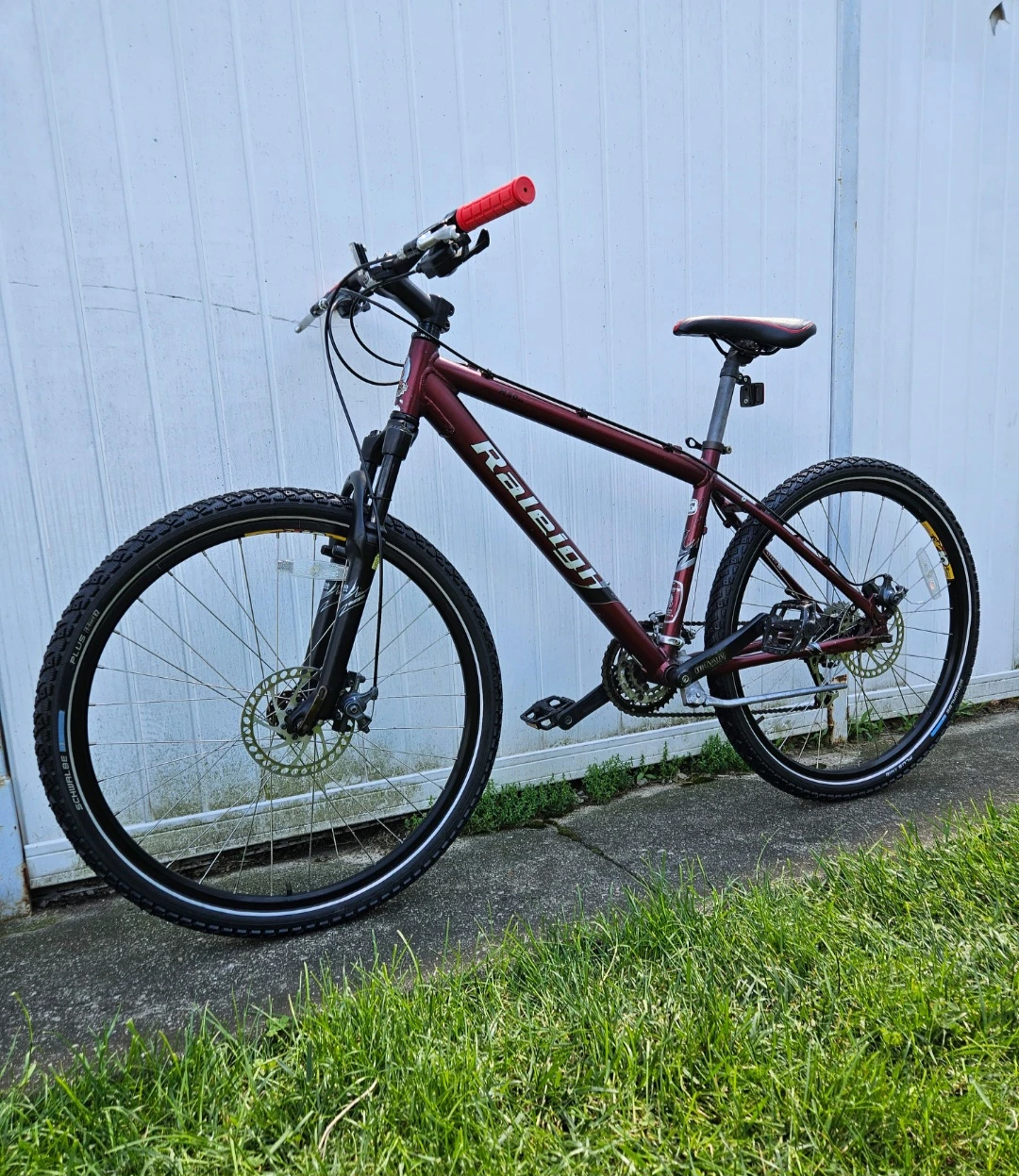 Raleigh Mountain Bike
