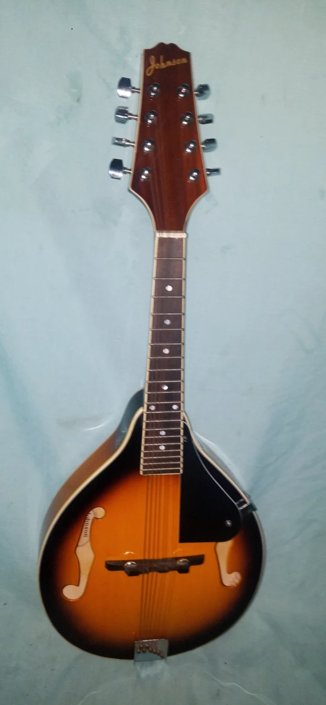 Johnson Acoustic Mandolin Needs Strings and Tailpiece Cover
