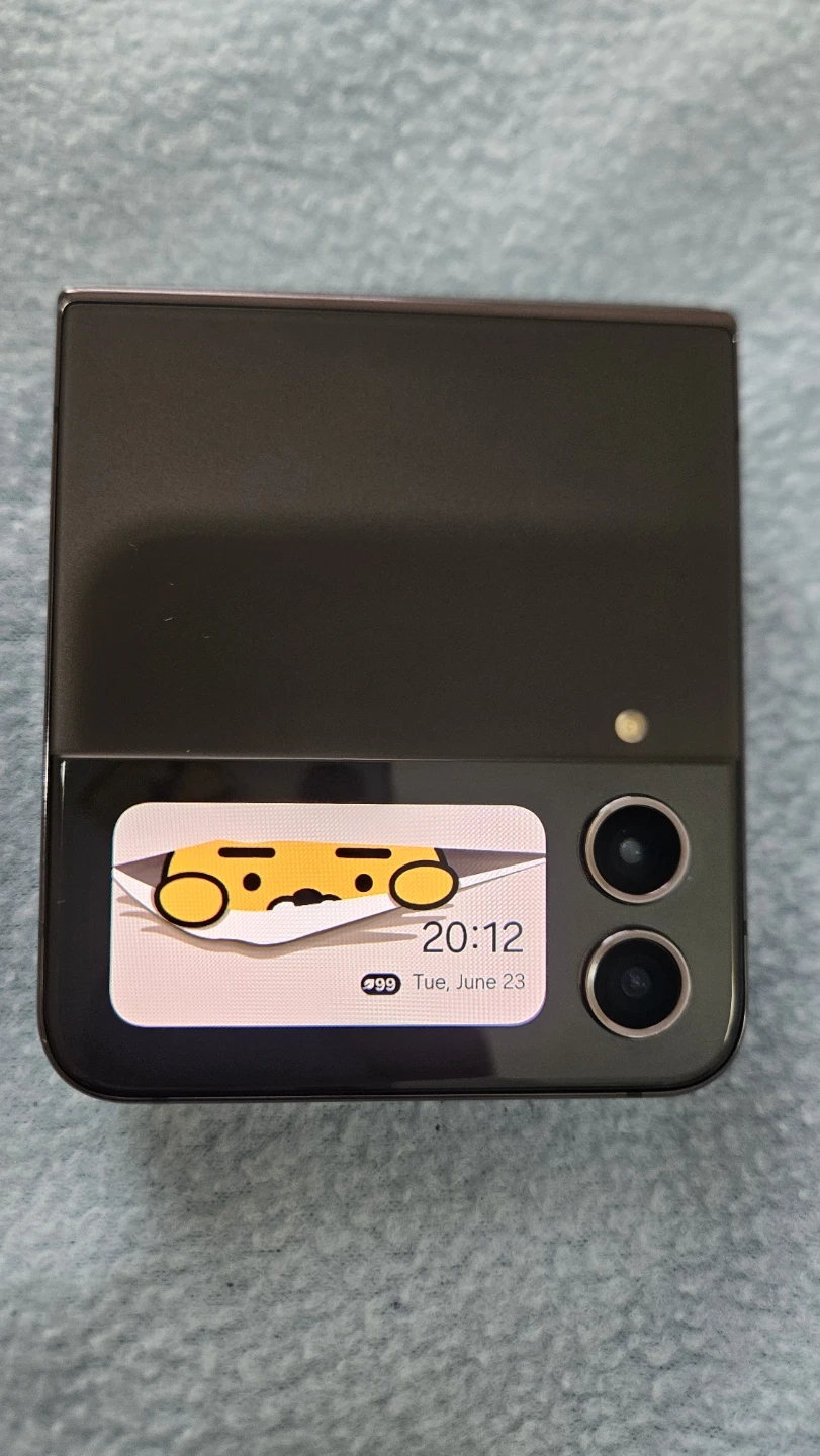 Samsung Galaxy Z Flip 4 - photo 2
