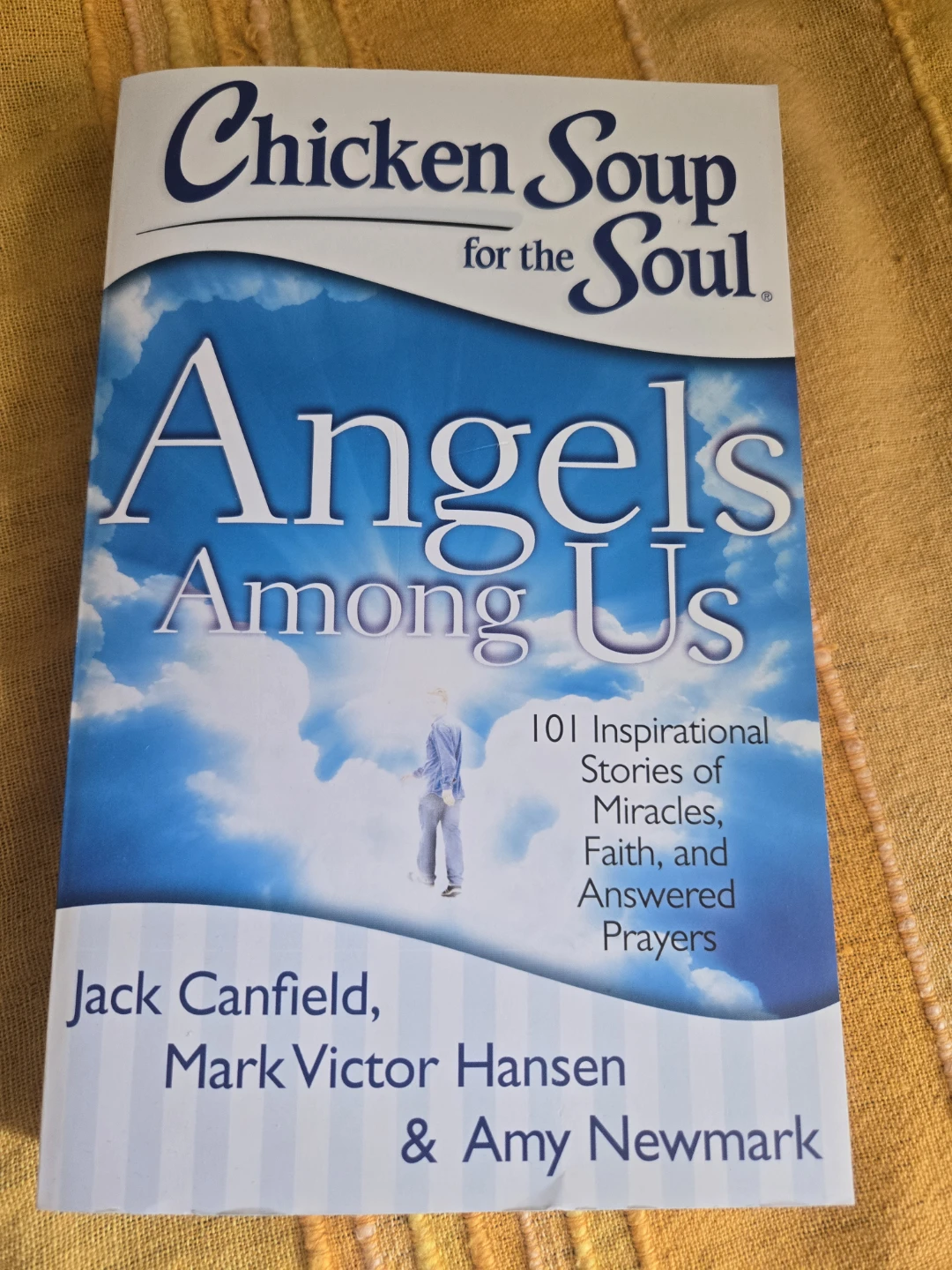 Chicken Soup for the Soul: Angels Among Us Book