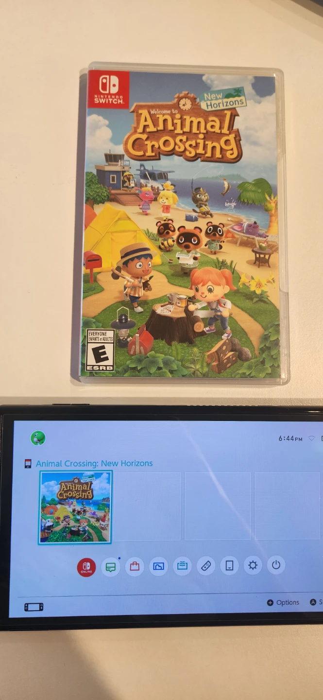 Nintendo Switch Animal Crossing: New Horizons Game - photo 4