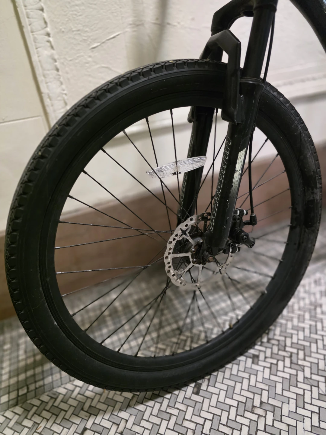 Schwinn mtb bikr - photo 5