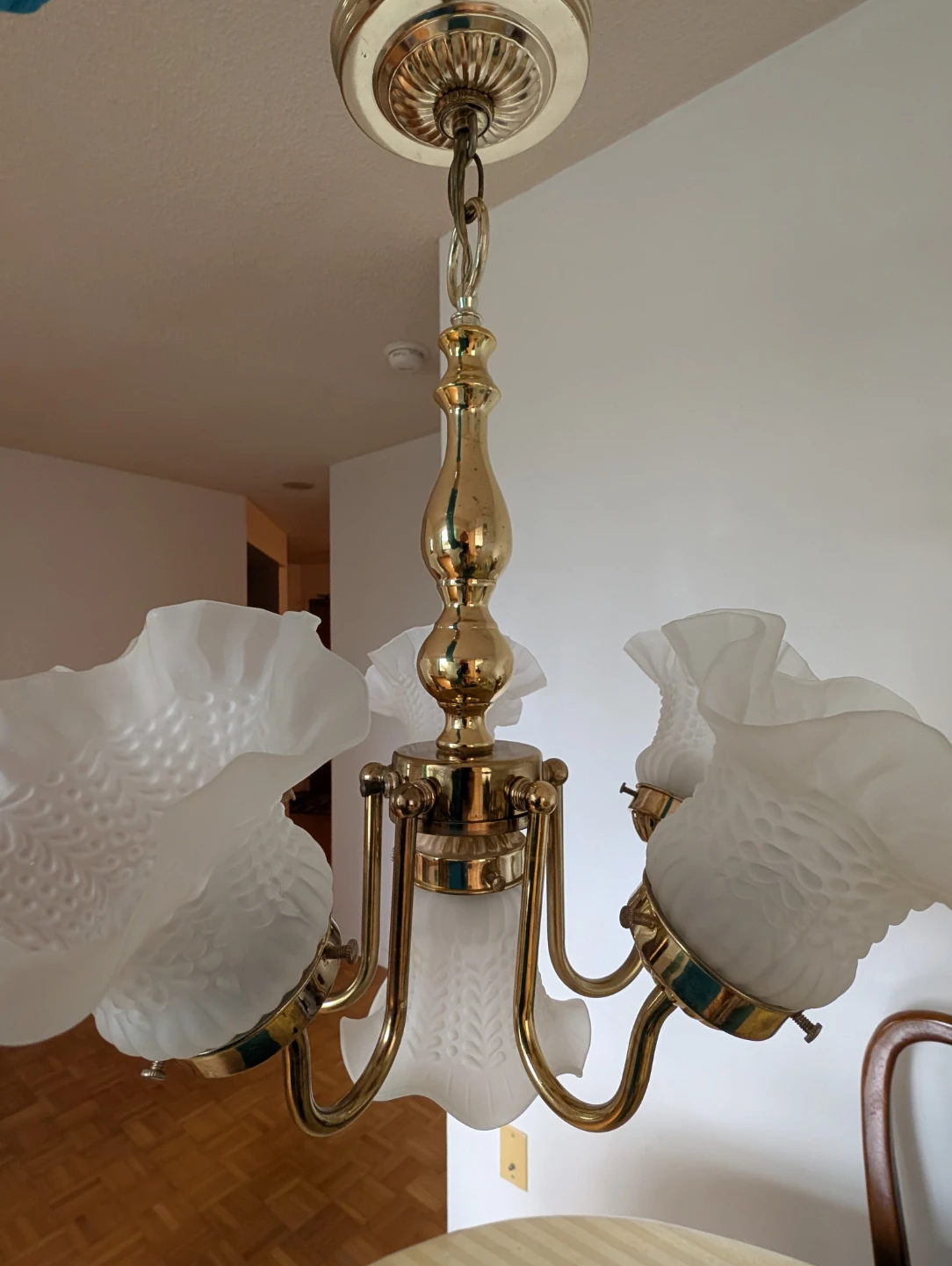 Brass Chandelier with Frosted Glass Shades - photo 4