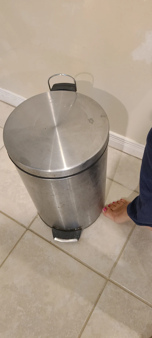 Stainless Steel Step Trash Can