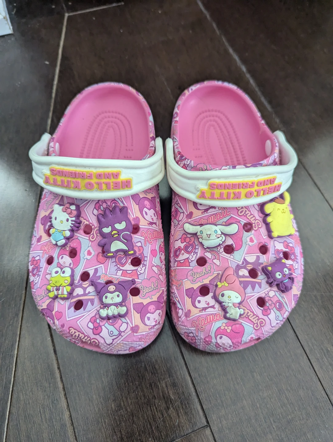 ⚽ Pink Crocs Hello Kitty and Friends Clogs - J1
