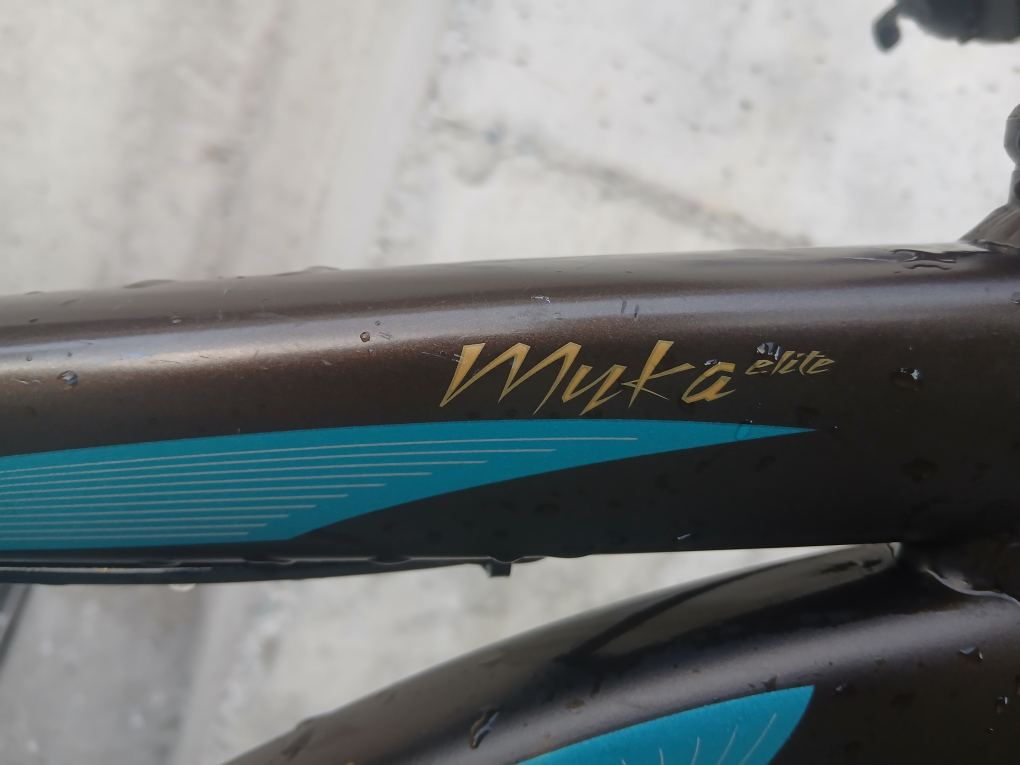 Specialized Myka Elite Mountain Bike - photo 3