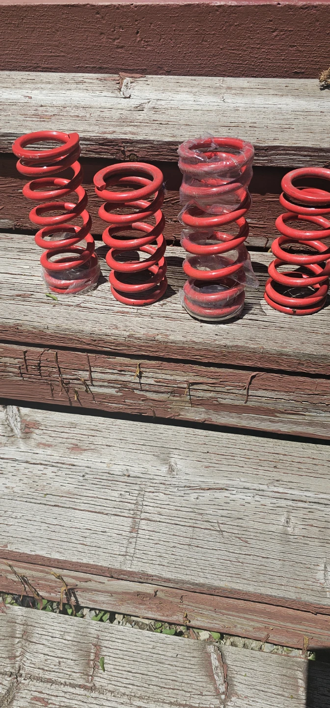 Red Coil Springs