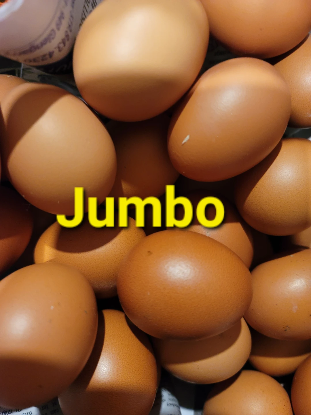 Jumbo Brown Eggs