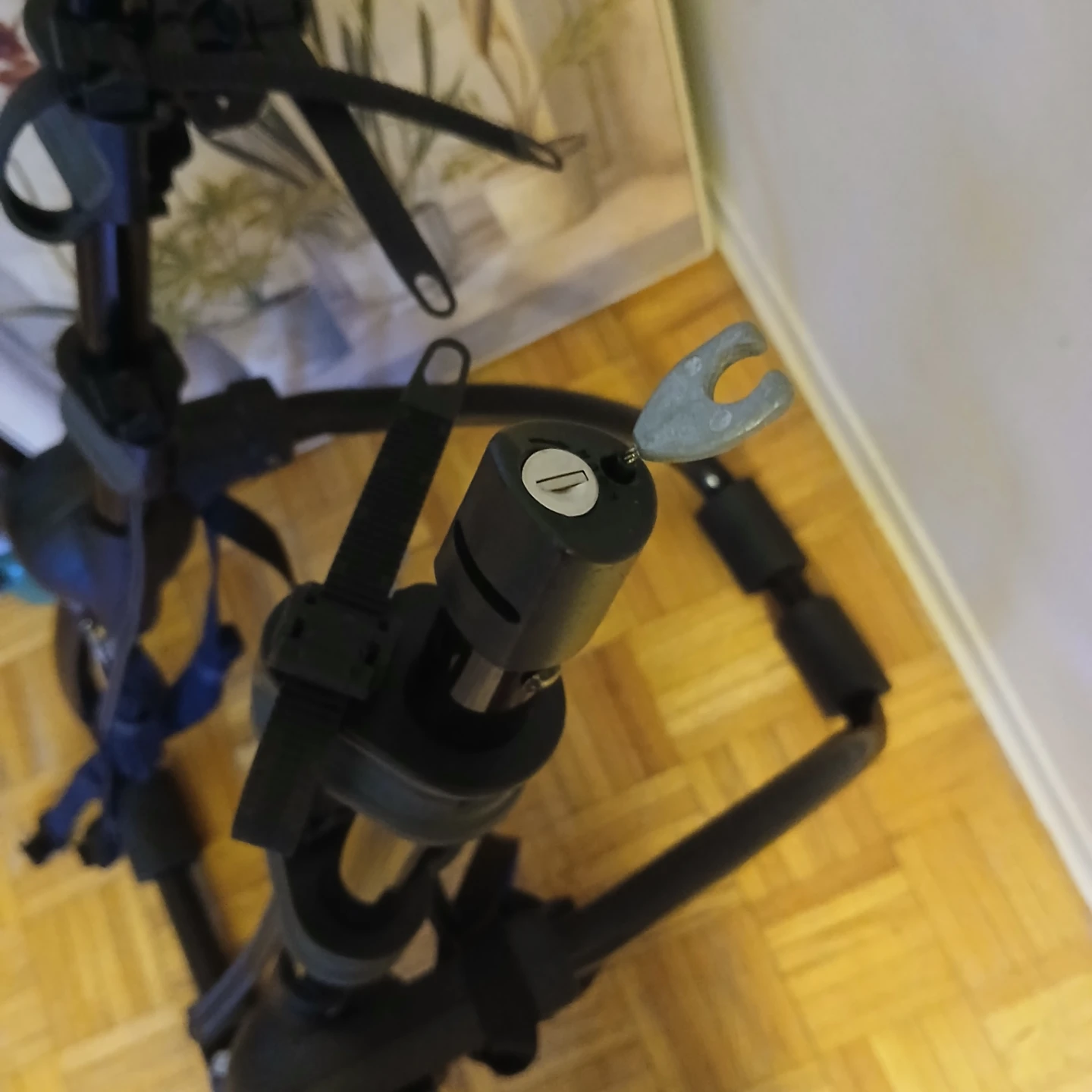 Thule Bike Rack - photo 2