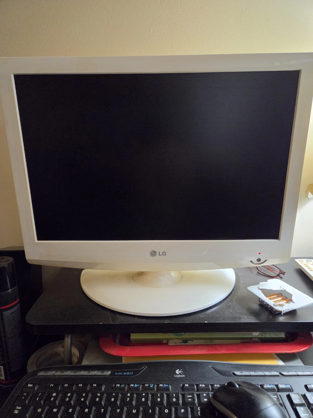 LG 19" LCD Monitor