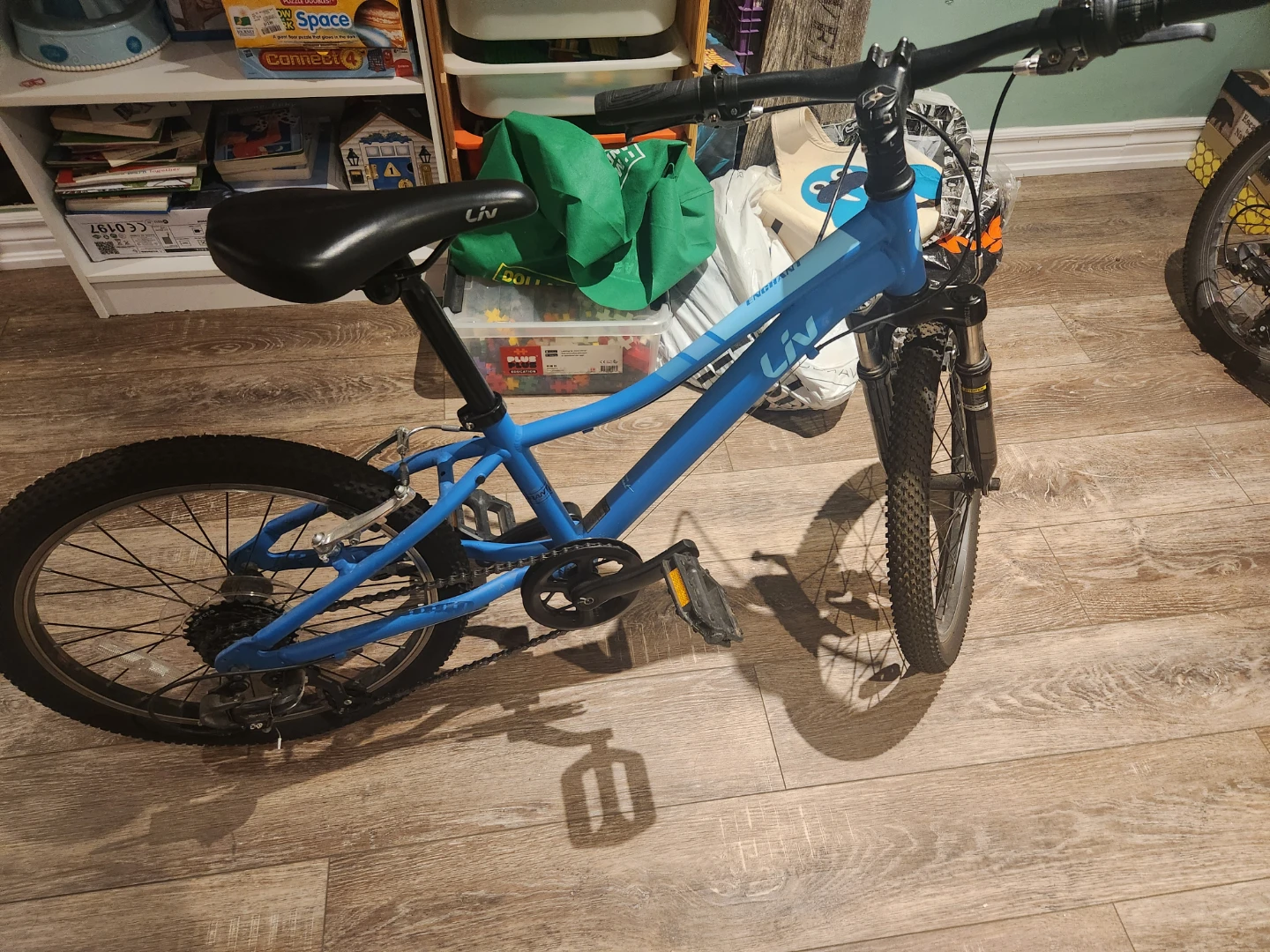 Liv Enchant Kids Bicycle 20 inch frame