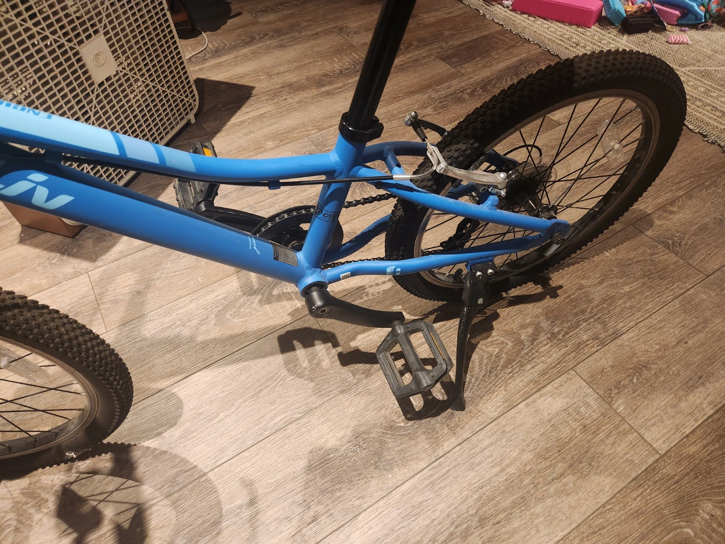 Liv Enchant Kids Bicycle 20 inch frame - photo 3