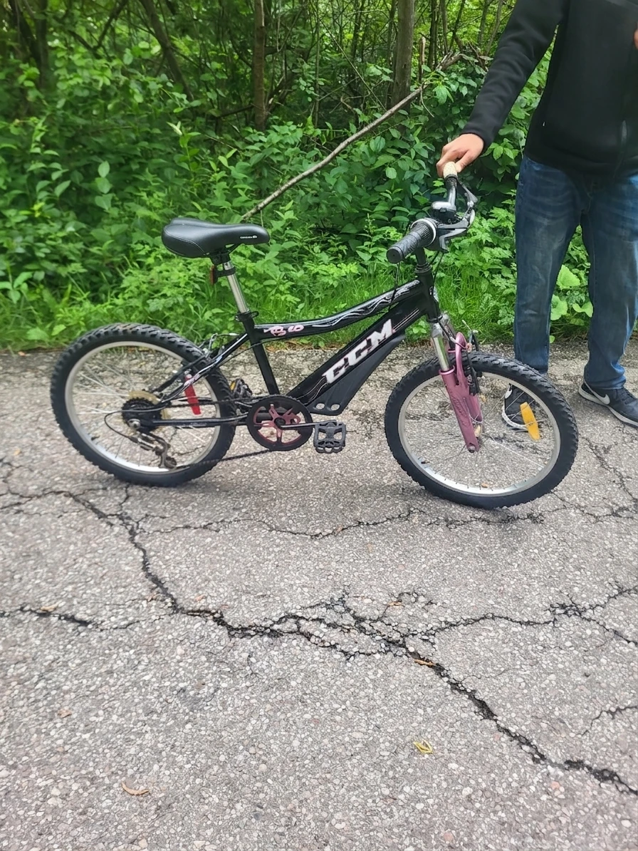 20 inch CCM F.S 2.0 Bicycle (NEGOTIABLE) - photo 2