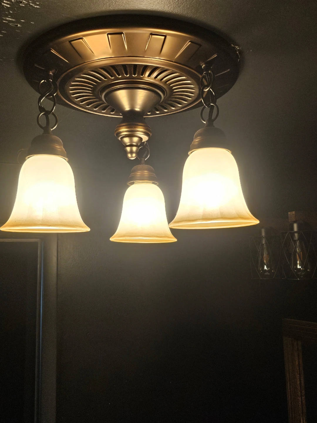 Hunter 80707 Garden District Flush Mount Light Fixture - photo 2