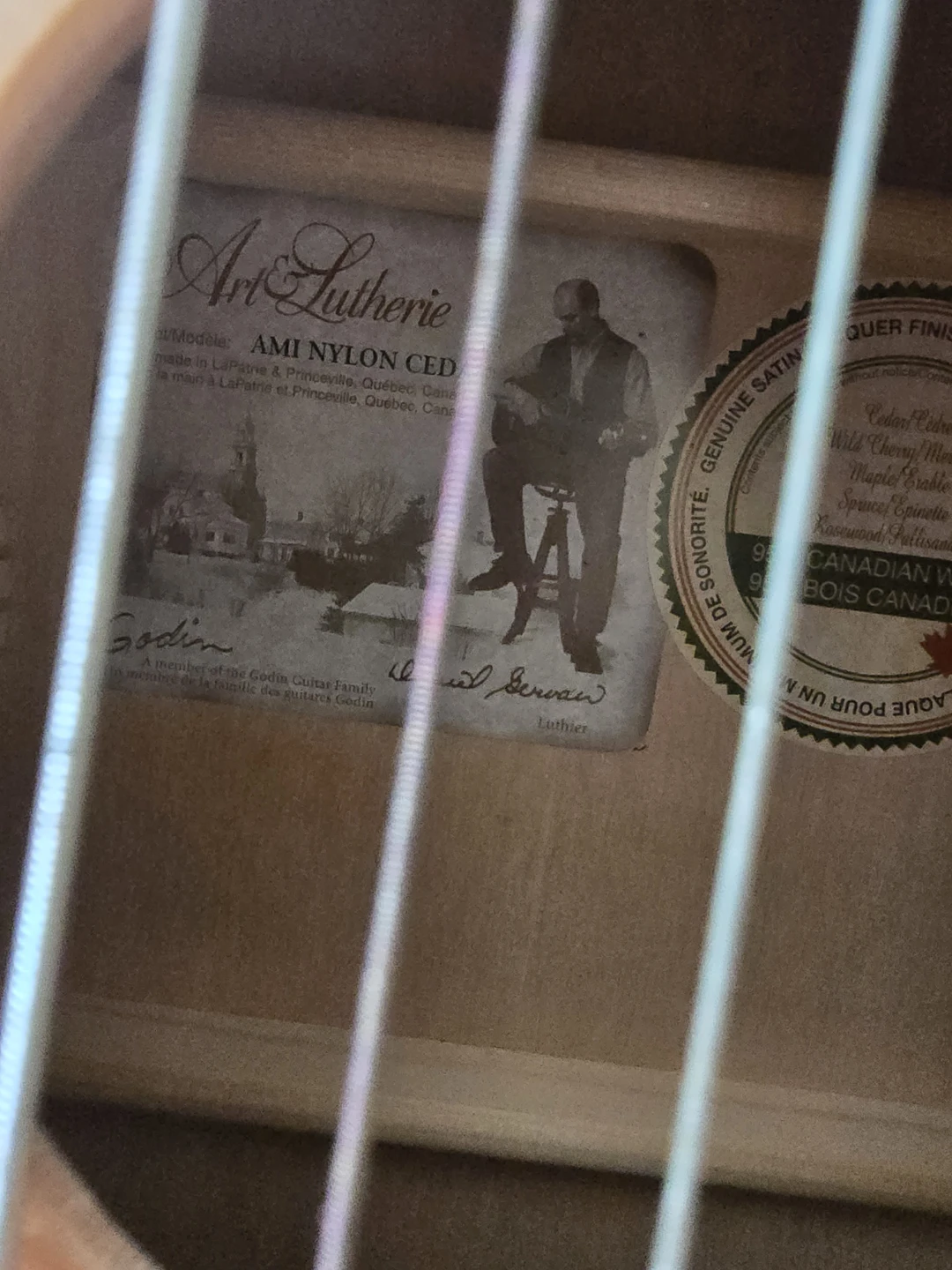Art & Lutherie AMI Nylon Cedar Classical Guitar