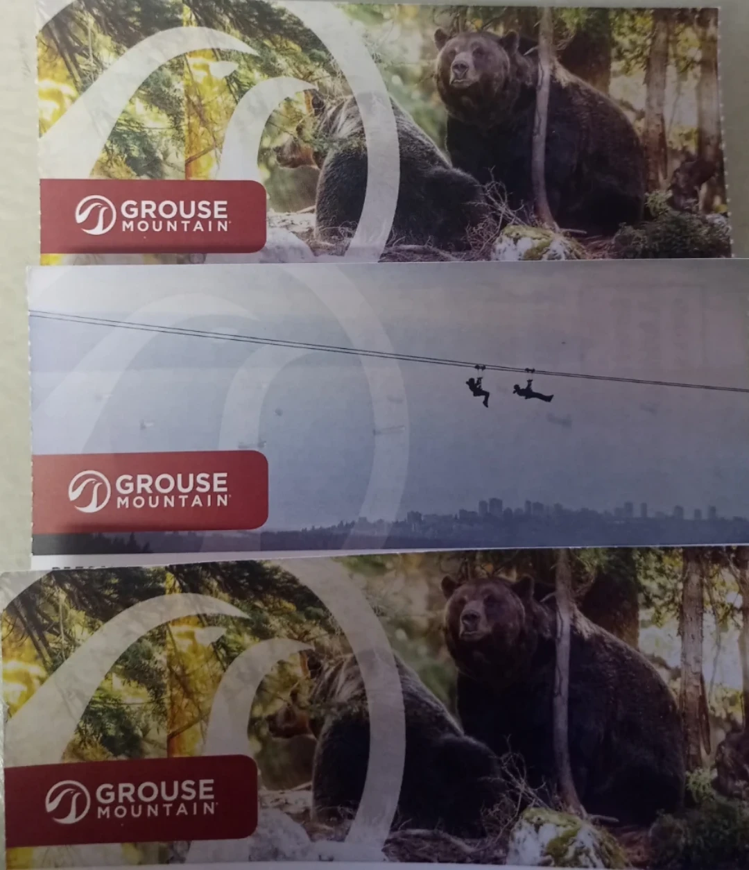 5 Grouse Mountain Tickets