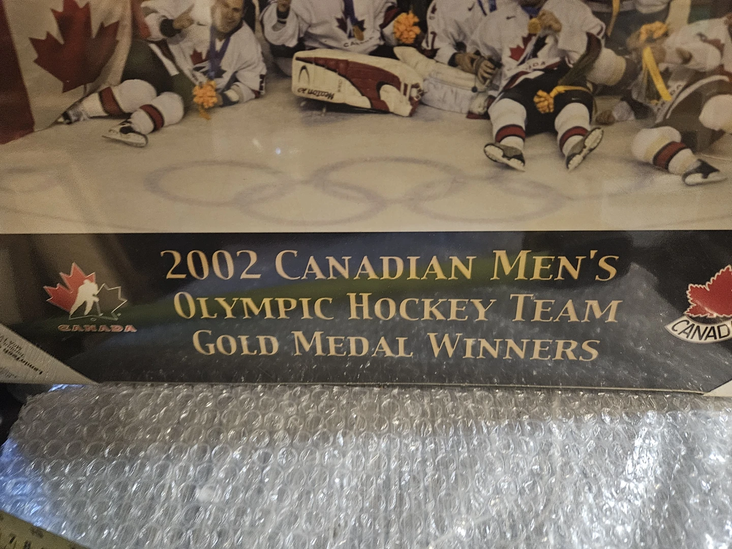2002 Canadian Men's Olympic Hockey Team Gold Medal Winners Photo - photo 3