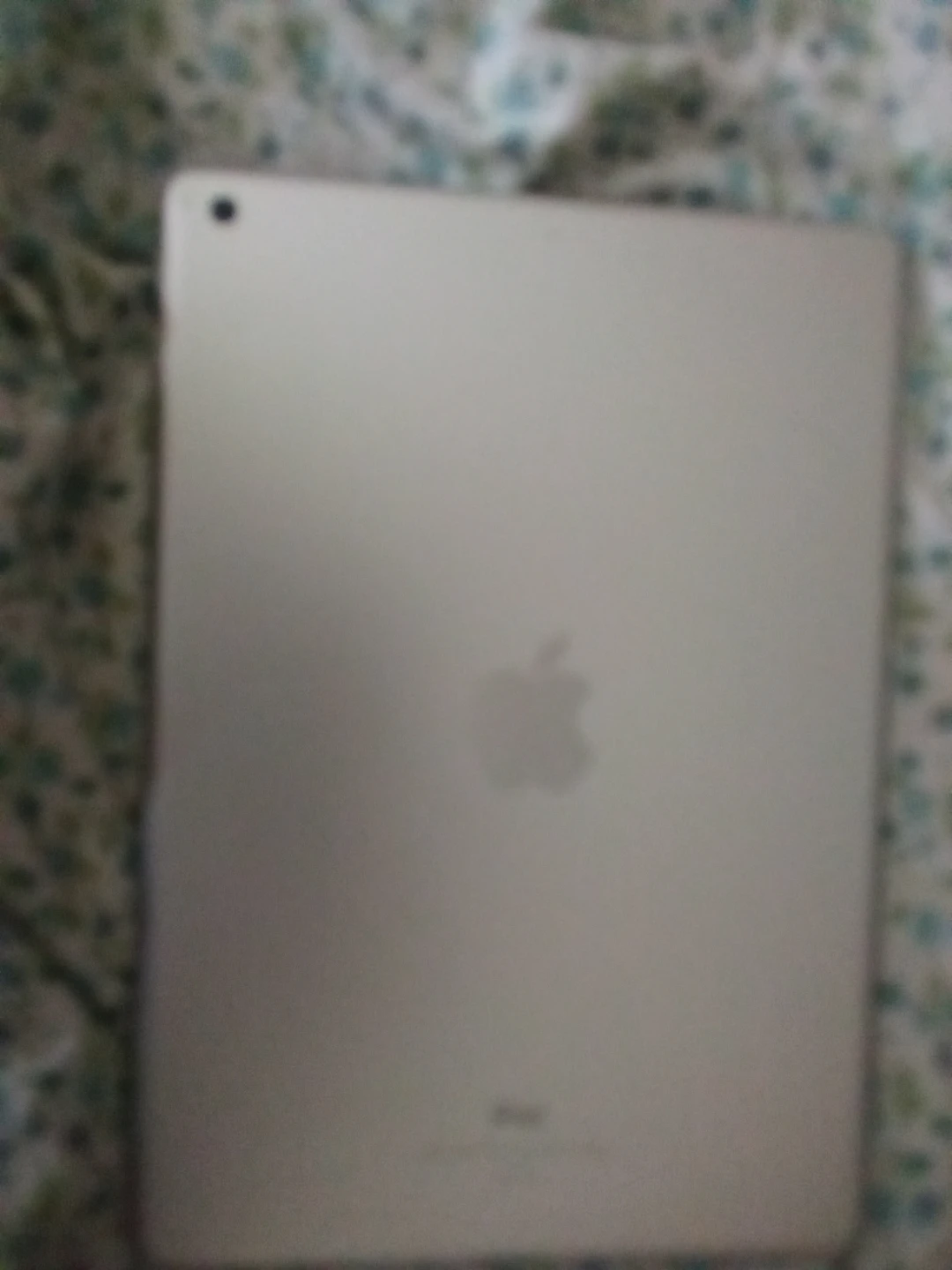 Apple iPad(6th Gen)
