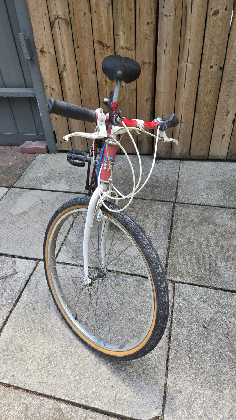 Road Runner Mountain Tour 12 Speed Bicycle