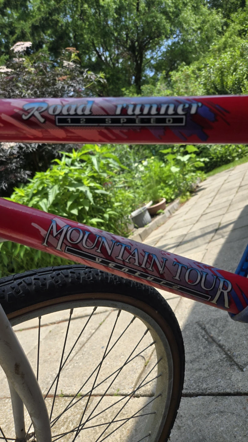 Road Runner Mountain Tour 12 Speed Bicycle - photo 2