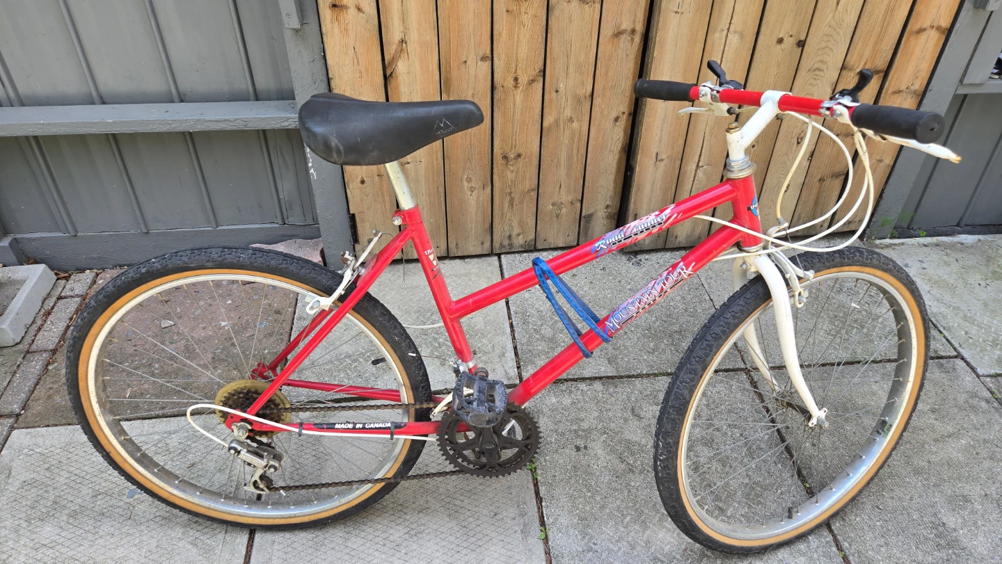 Road Runner Mountain Tour 12 Speed Bicycle - photo 3