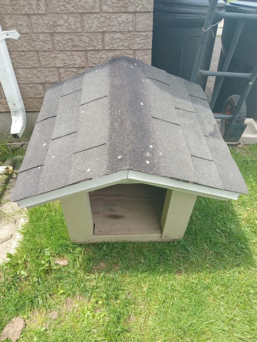 Dog House