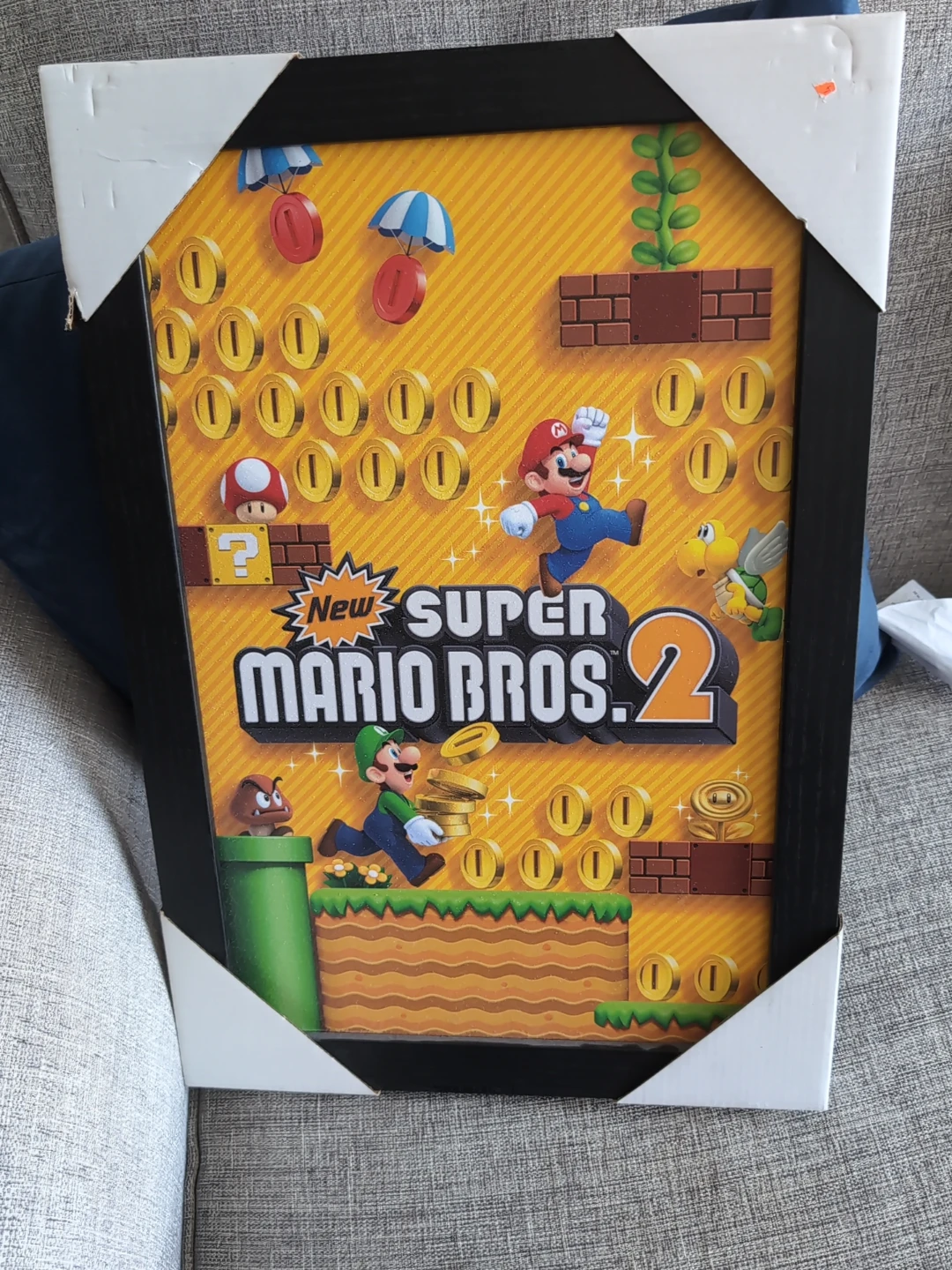 Super Mario Bros. 2 Framed Art