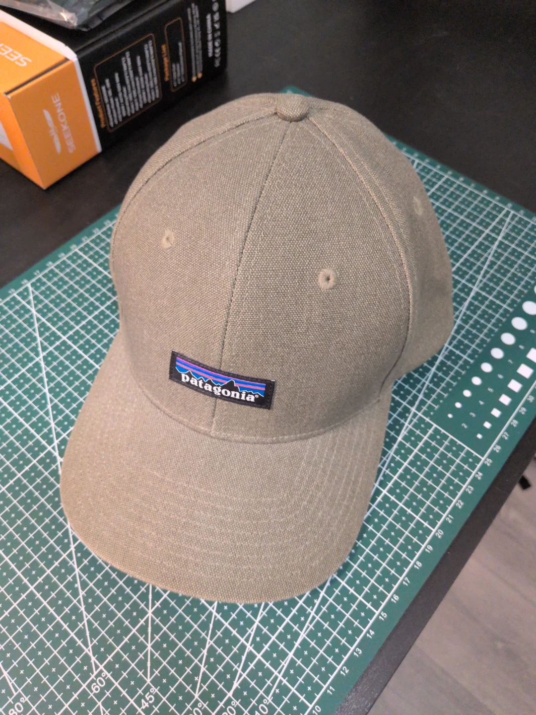Patagonia Cap