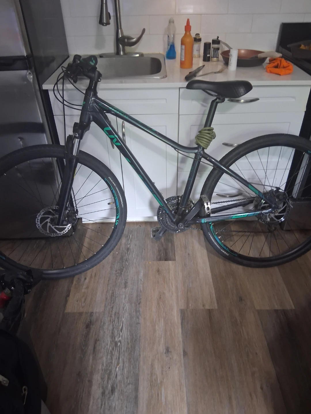 LIV Hybrid Bike