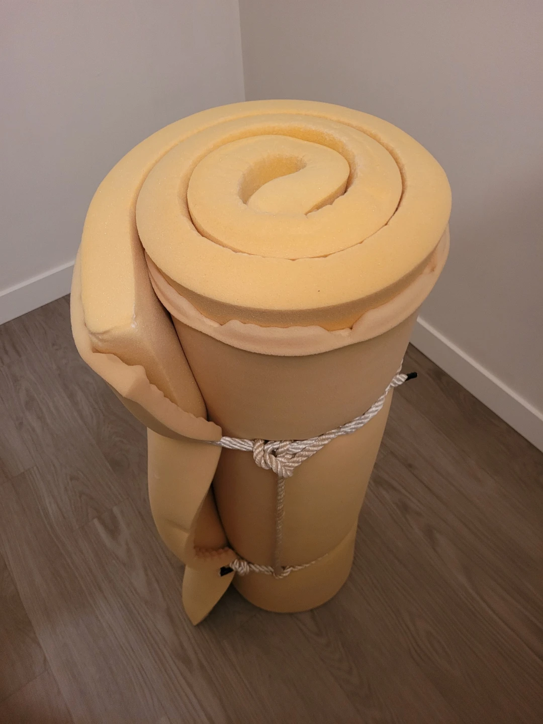Camping mattress and screen house. READ THE DESCRIPTION.