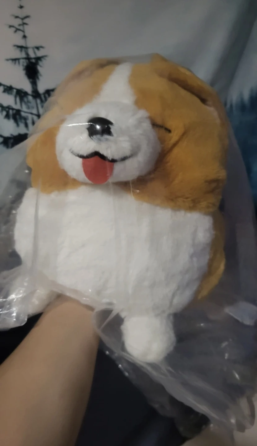 Amuse Ichini Corgi Tissue Box Plushie