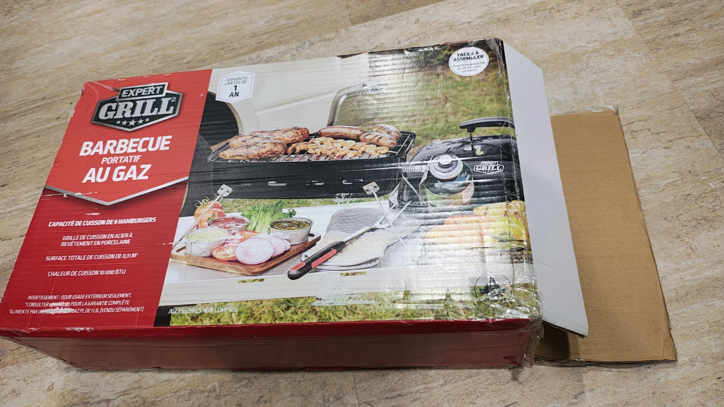 Portable Gas BBQ Grill - photo 2