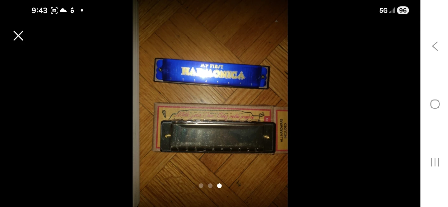 ⚽️Harmonica for Dummies Book and My First Harmonica Set - photo 3