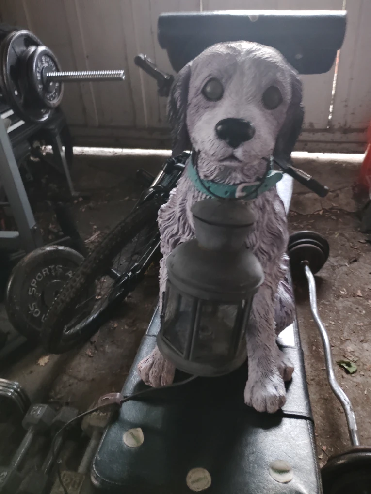 Dog with Lantern Statue - photo 2