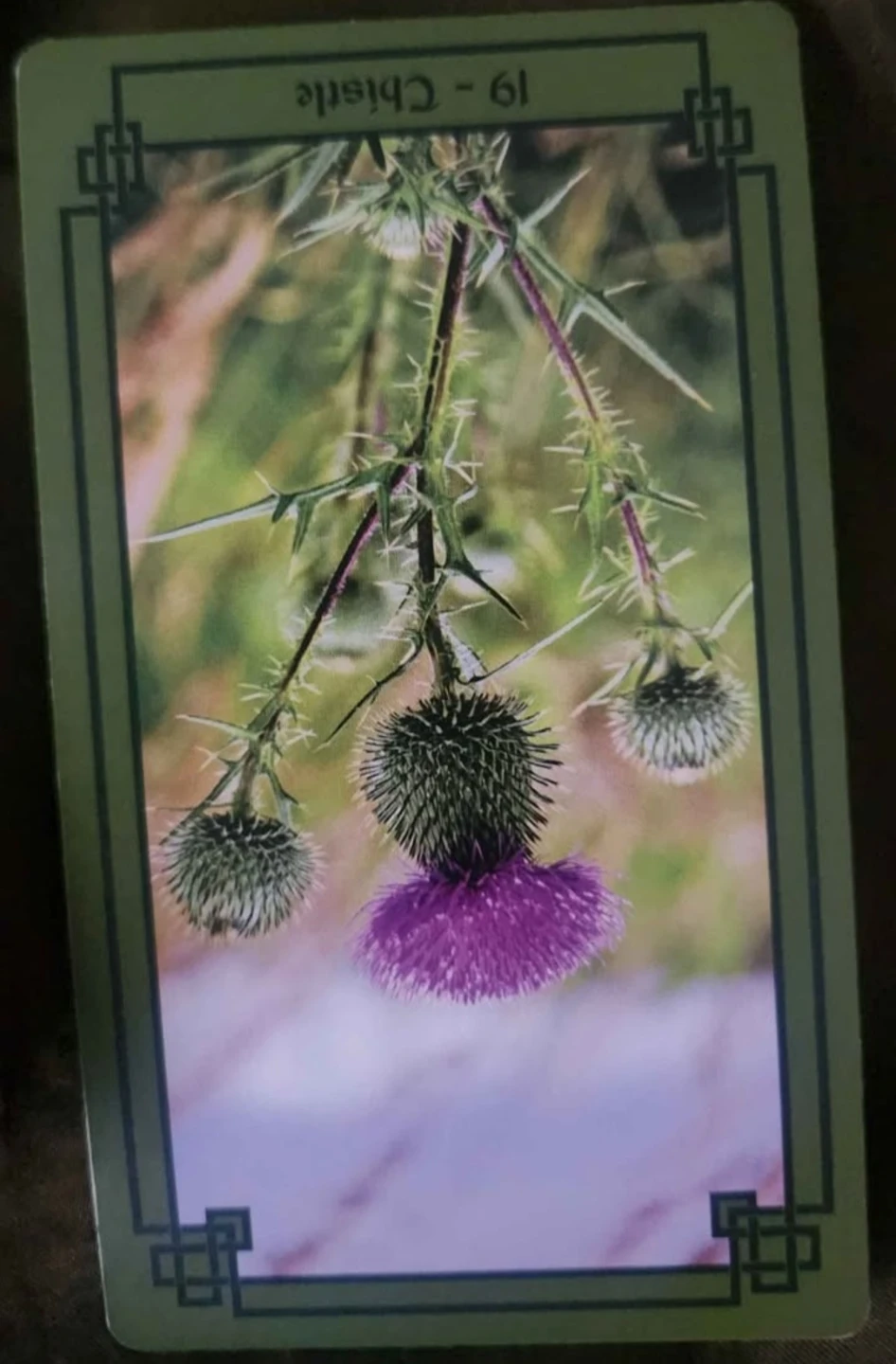 Tarot Reading - photo 4