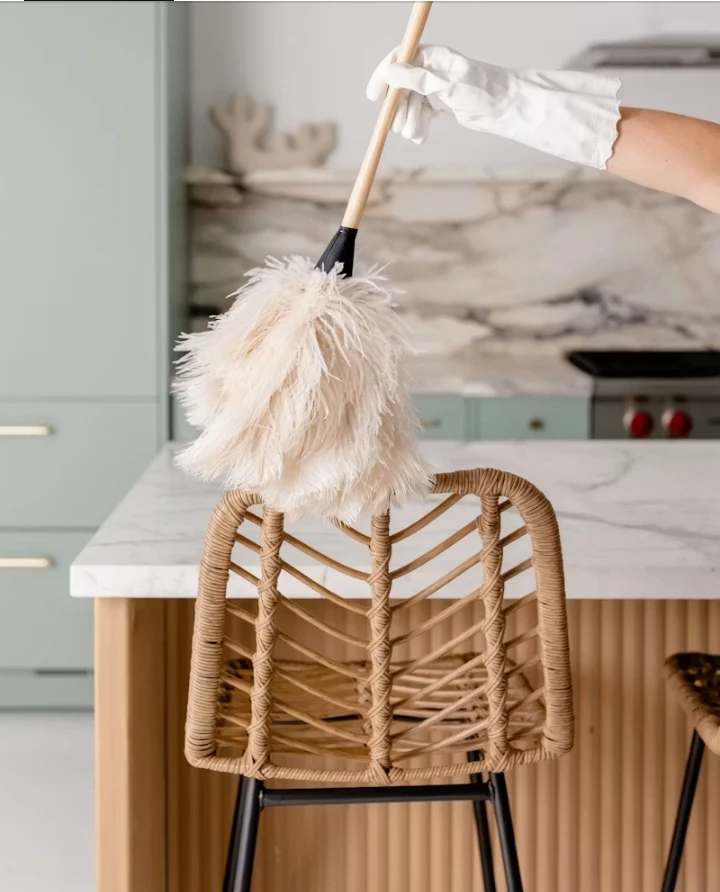 Indie Cleaning Girl For Downtown Core Condos and Apartments