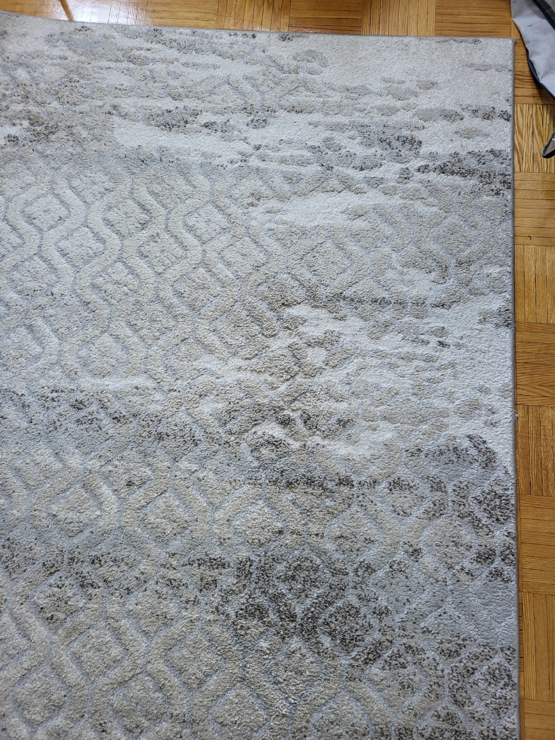 Area Rug