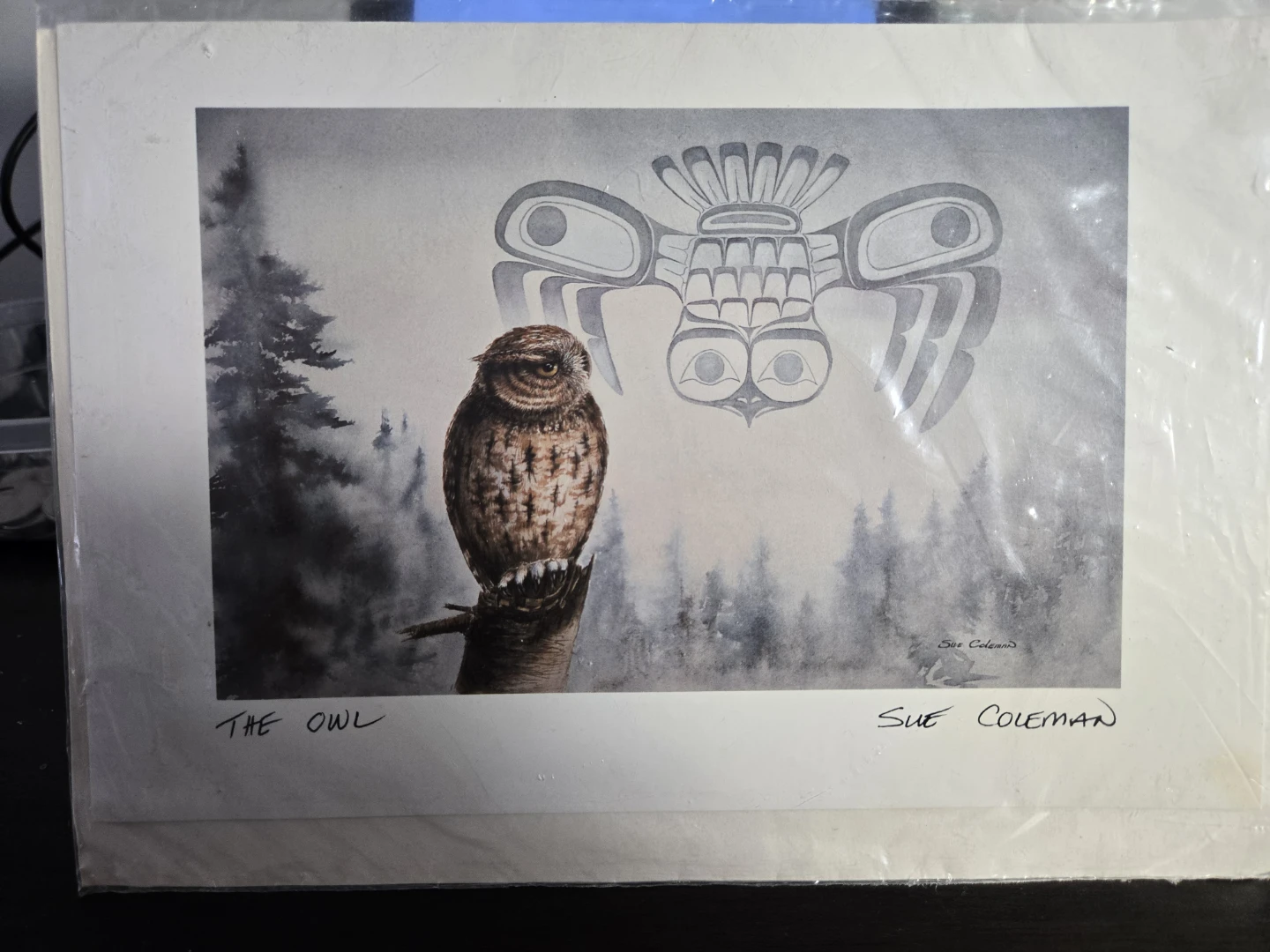 The Owl Print by Sue Coleman