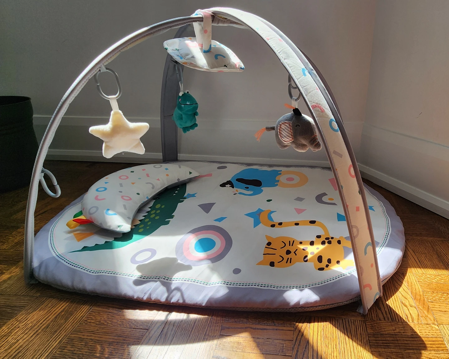 Baby Play Gym with Toys