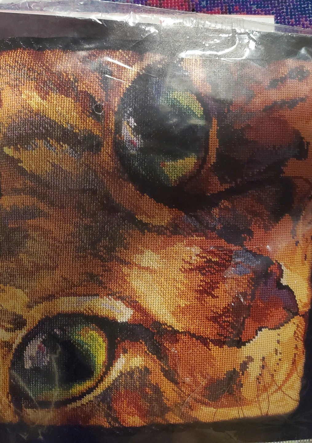 Kooler Design Studio Cat Eyes Pillow Needlepoint Kit - photo 3