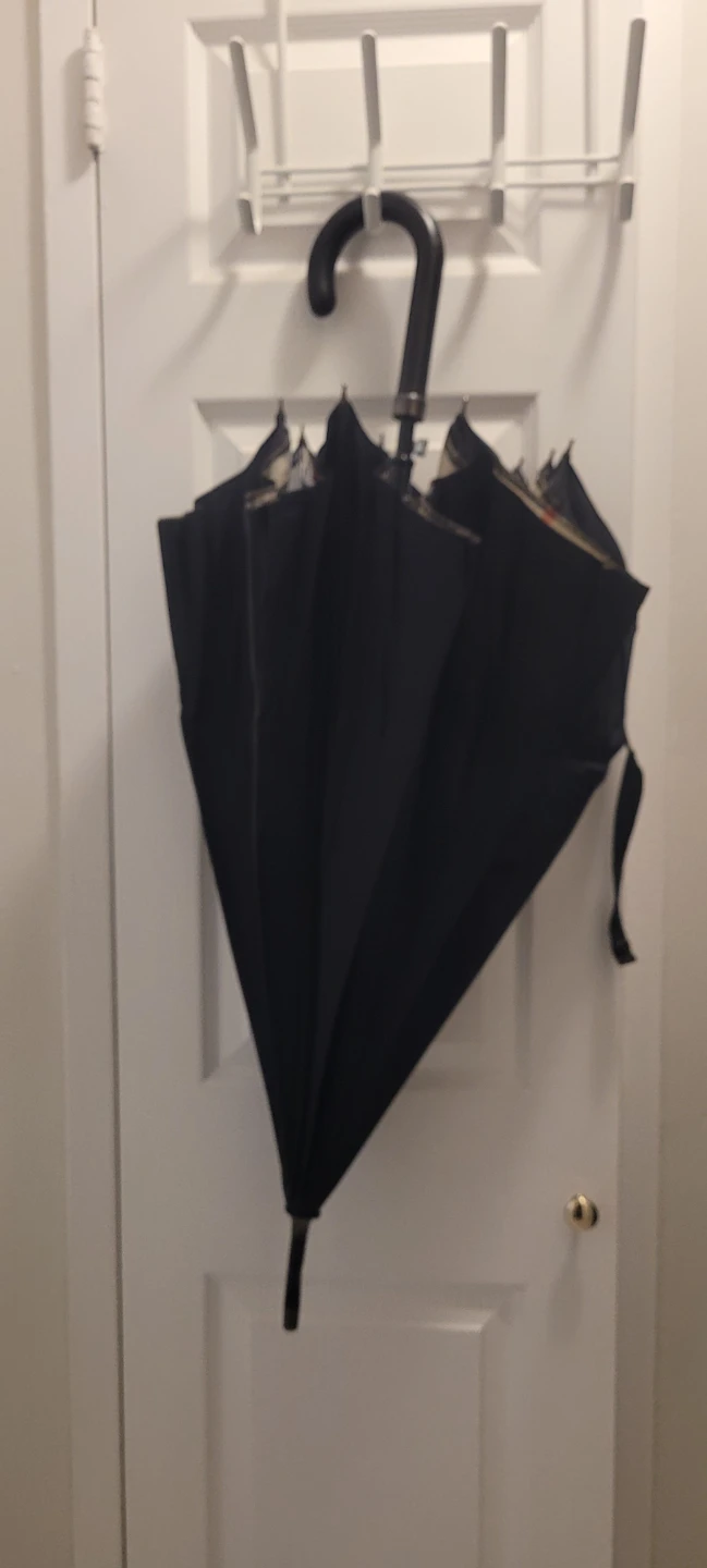 Burberry Umbrella - photo 3