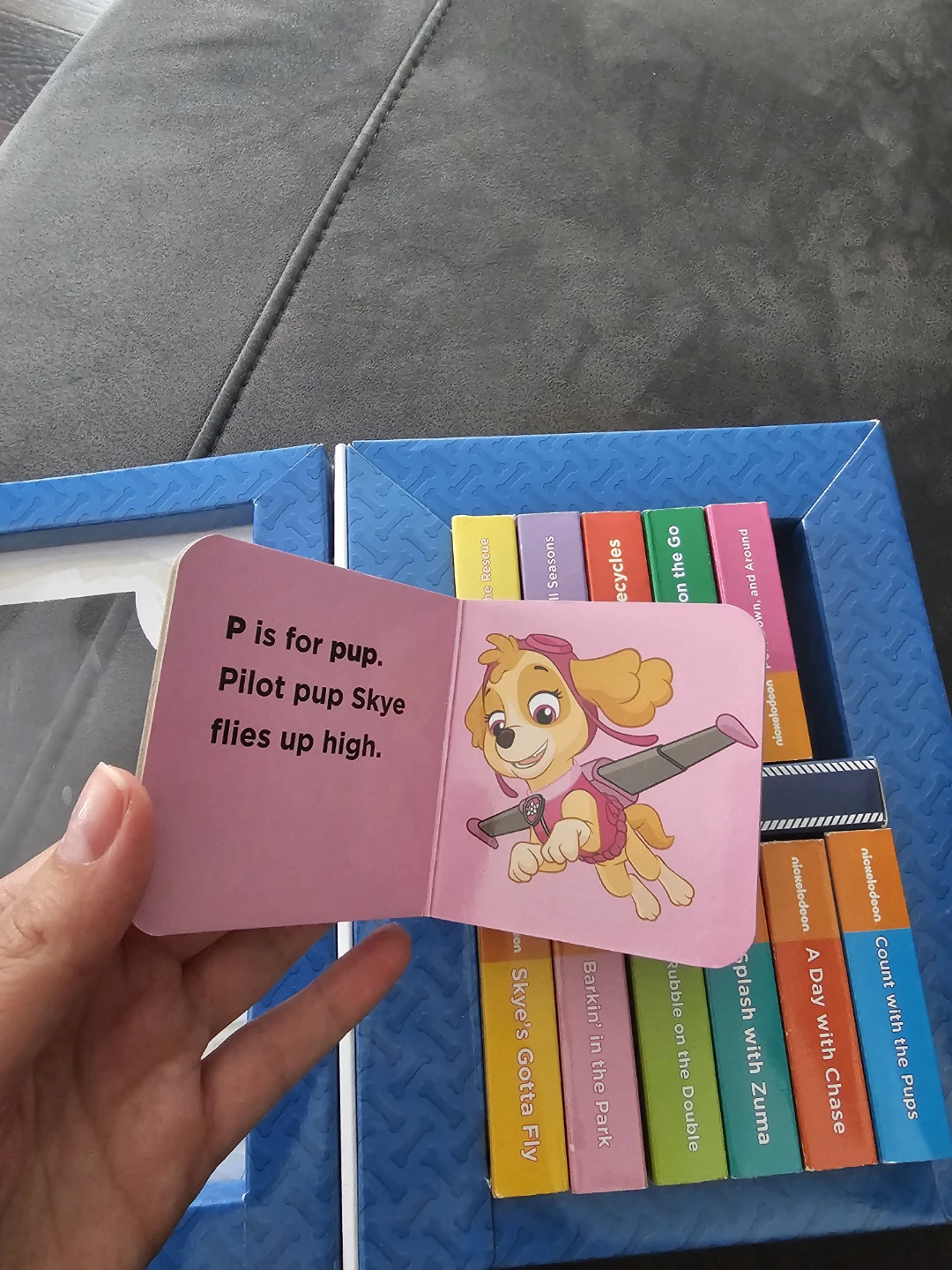 Nickelodeon Paw Patrol 12 Board Book Set - photo 3