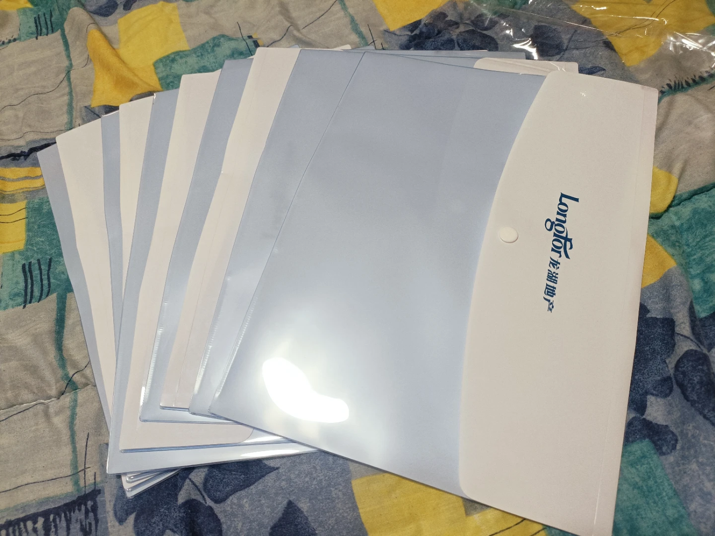 Longfor Document Folders (Set of 10) - photo 4
