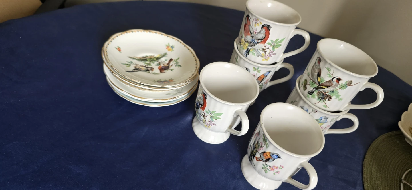 Set of 6 Vintage Teacups and Saucers with Bird Design