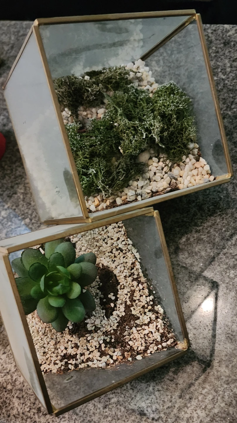 Geometric Terrariums with faux Succulent and Moss