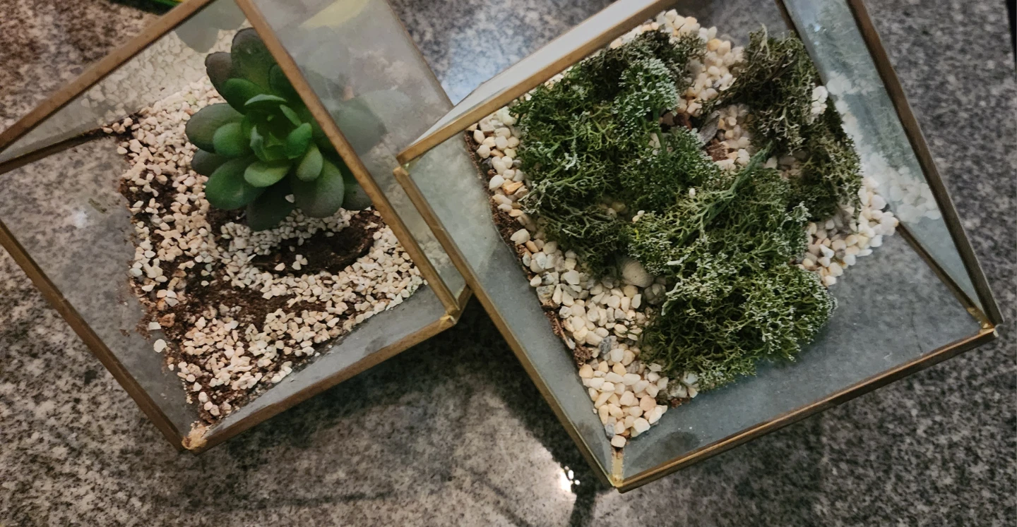 Geometric Terrariums with faux Succulent and Moss - photo 2