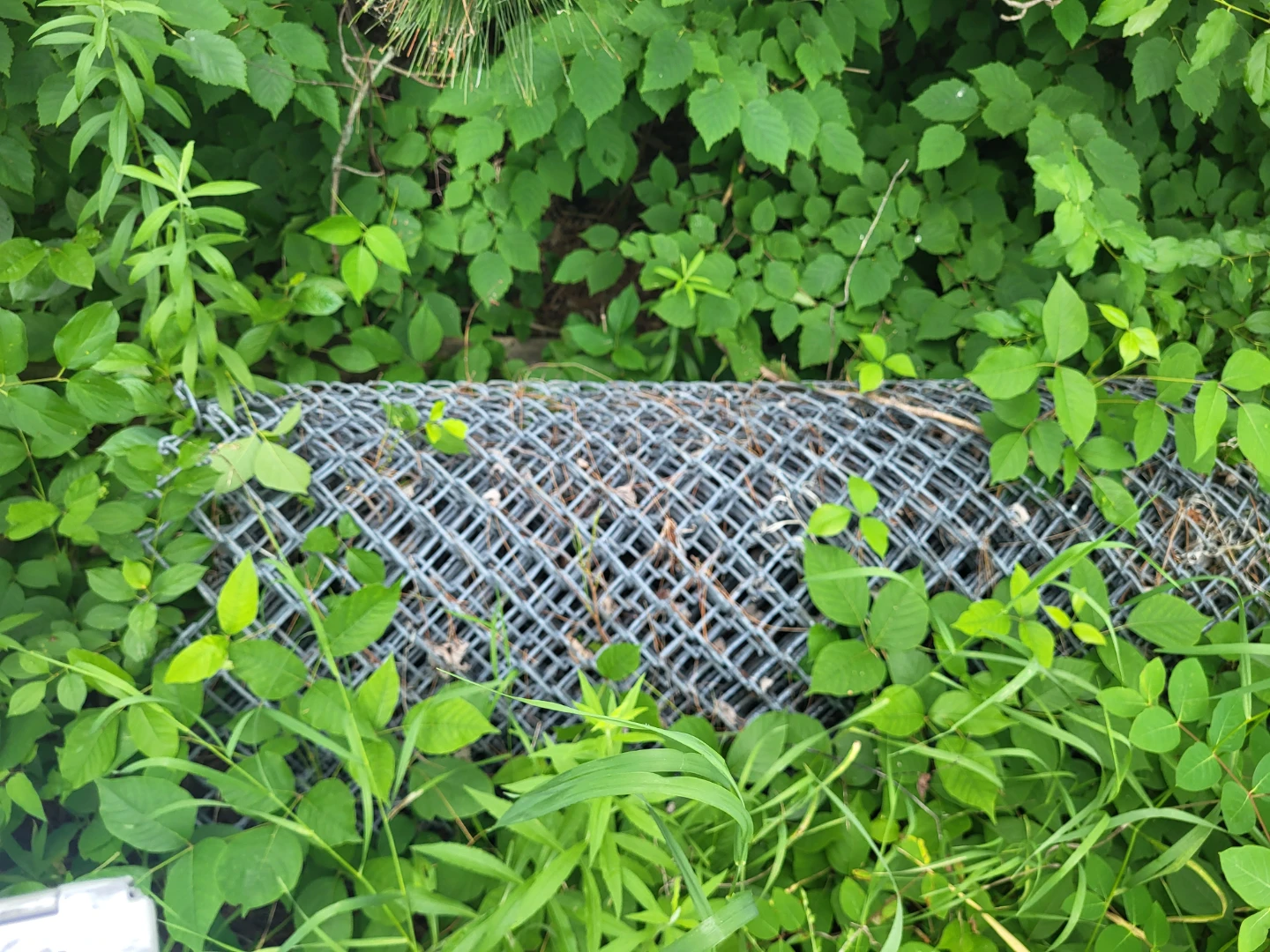 Chain Link Fence Material Roll
