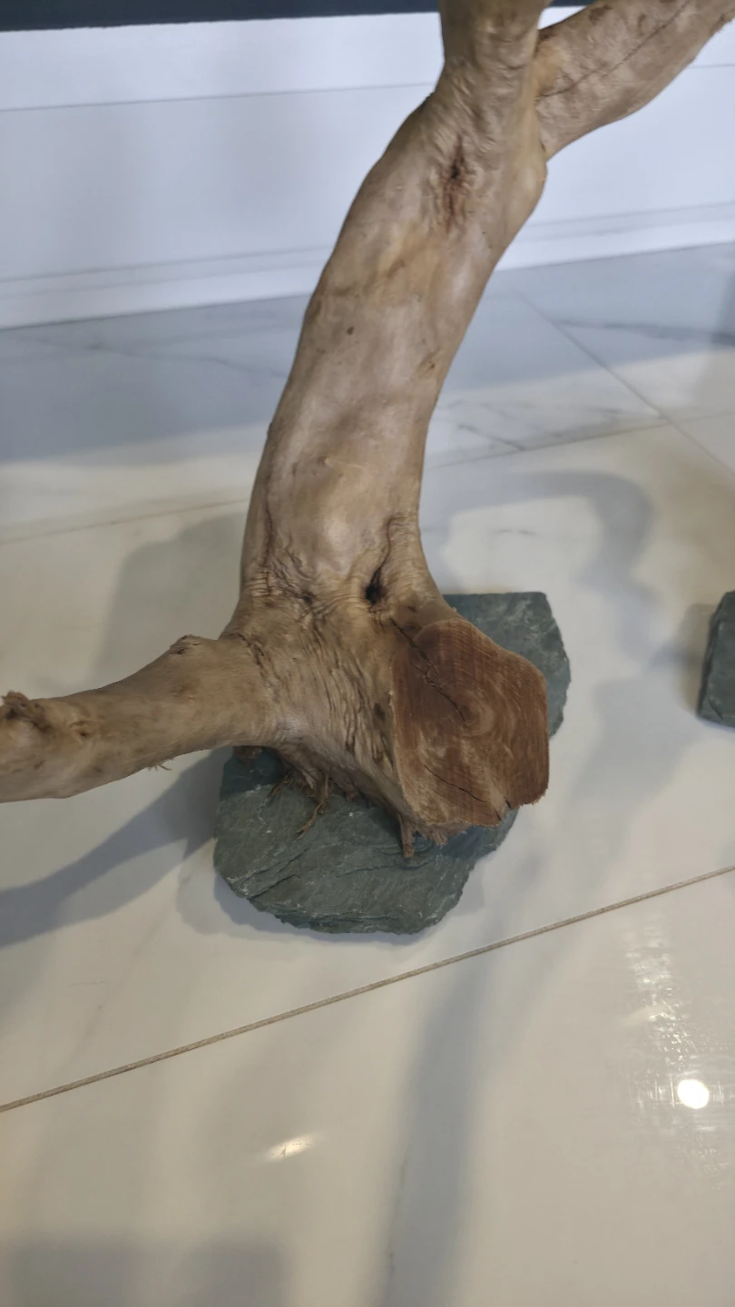 2 decorative tree branches on slate stone - photo 2