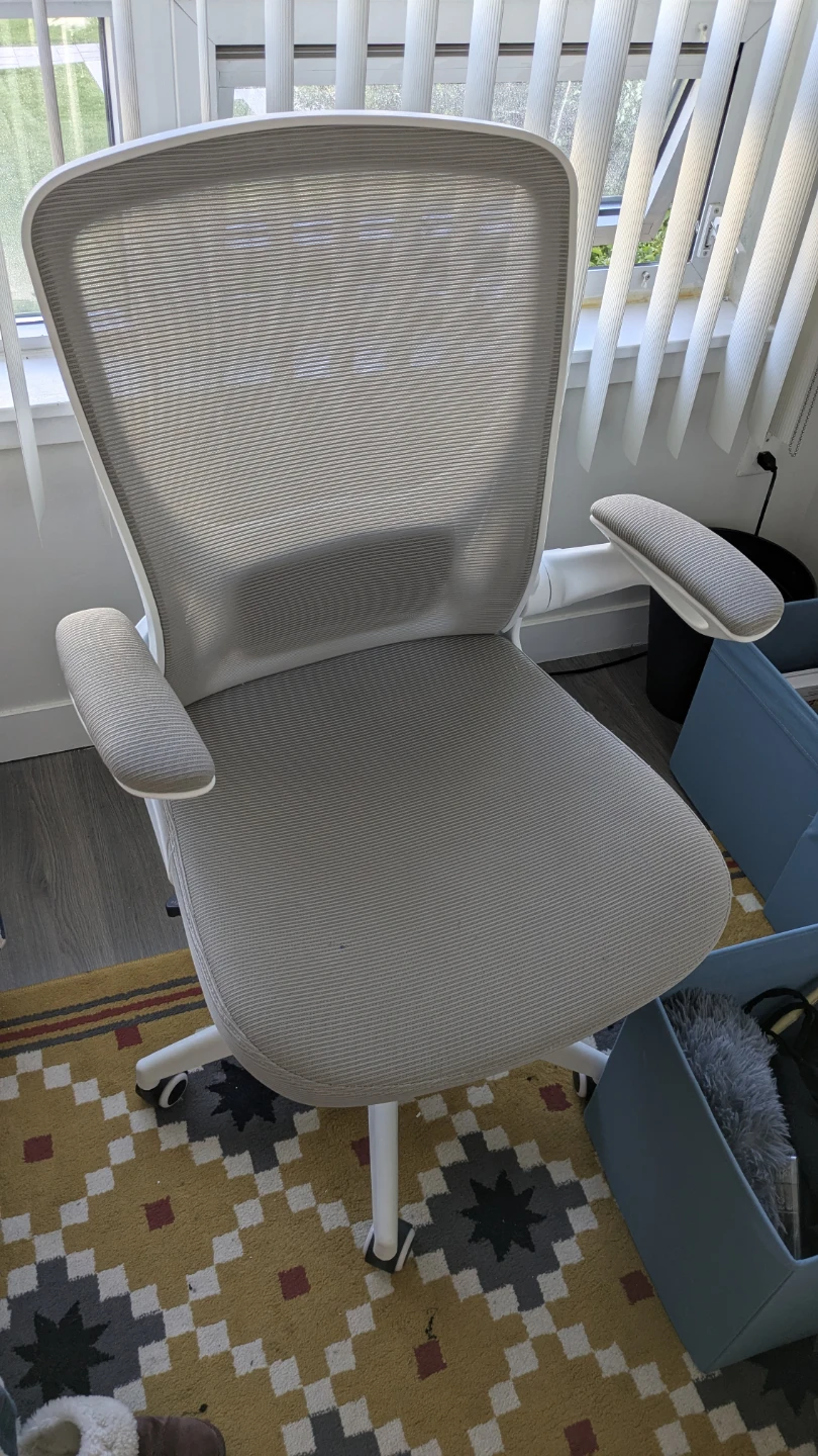 Ergonomic Office Chair